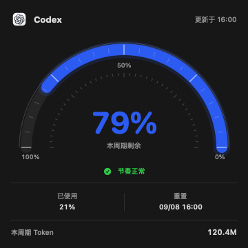 大号桌面小组件中文界面:额度仪表盘、重置时间和 Token 摘要